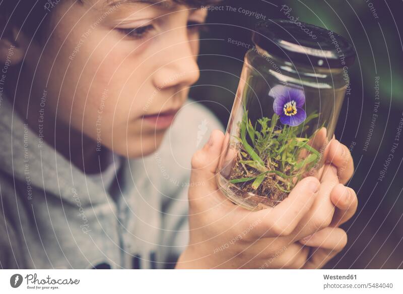 Boy watching pansy in a glass caucasian caucasian ethnicity caucasian appearance european Flower Flowers hand human hand hands human hands Glass Glasses
