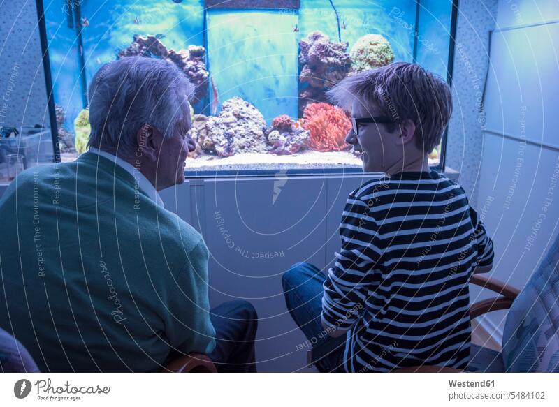 Grandfather with grandson at aquarium fish Fishes casual leisure wear casual clothing casual wear casual clothes Casual Attire bonding togetherness