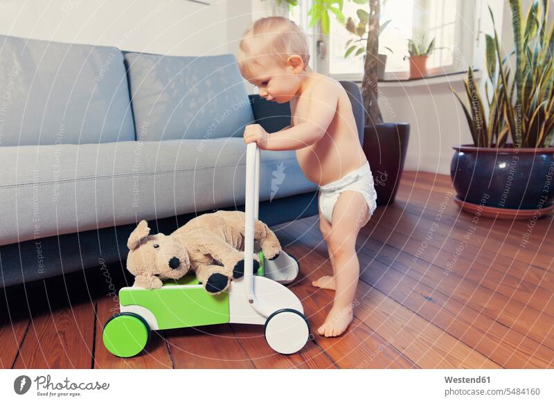 Little boy pushing around his cuddly toy in walker wagon couch settee sofa sofas couches settees cuddly toys soft toy soft toys baby boys male babies infants