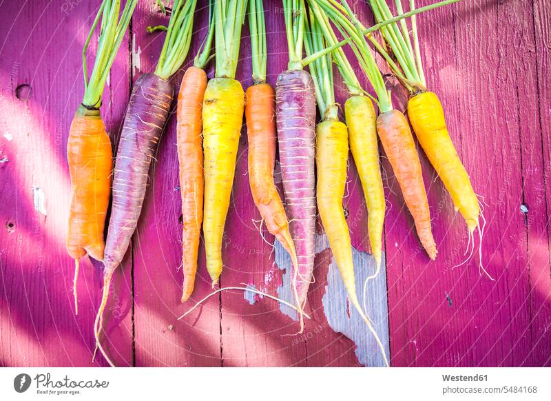 Row of heirloom carrots on pink wood food and drink Nutrition Alimentation Food and Drinks still life still-lifes still lifes Heirloom Carrot Carrots