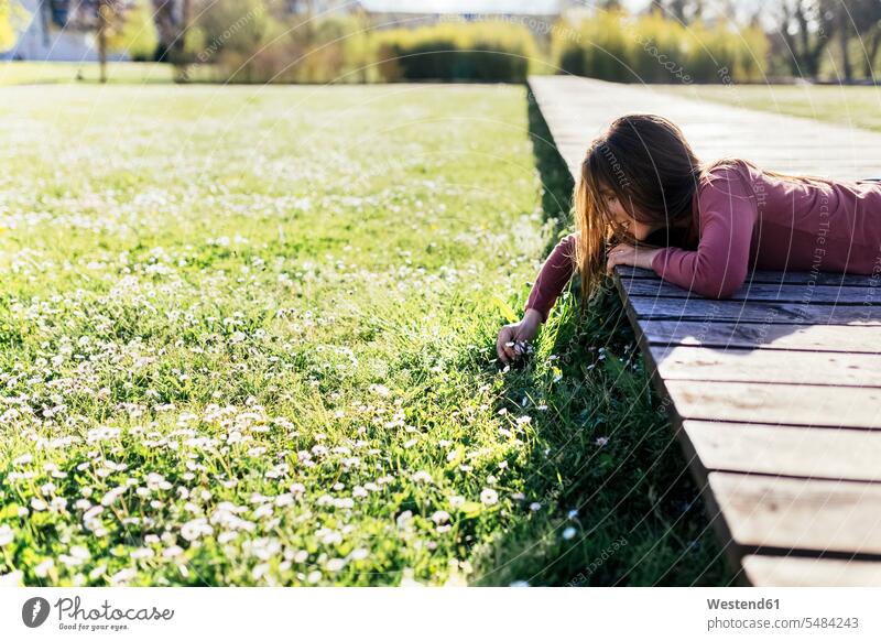 Girl lying on boardwalk picking daisies from a meadow spring springtime Spring Time spring season copy space Surface Level worm's eye view relaxation relaxed