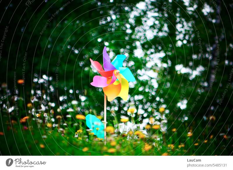 Stand out - windmill in rainbow colors Pinwheel Rainbow Prismatic colors Multicoloured Meadow green meadow yellow flowers Dandelion variegated Green Yellow