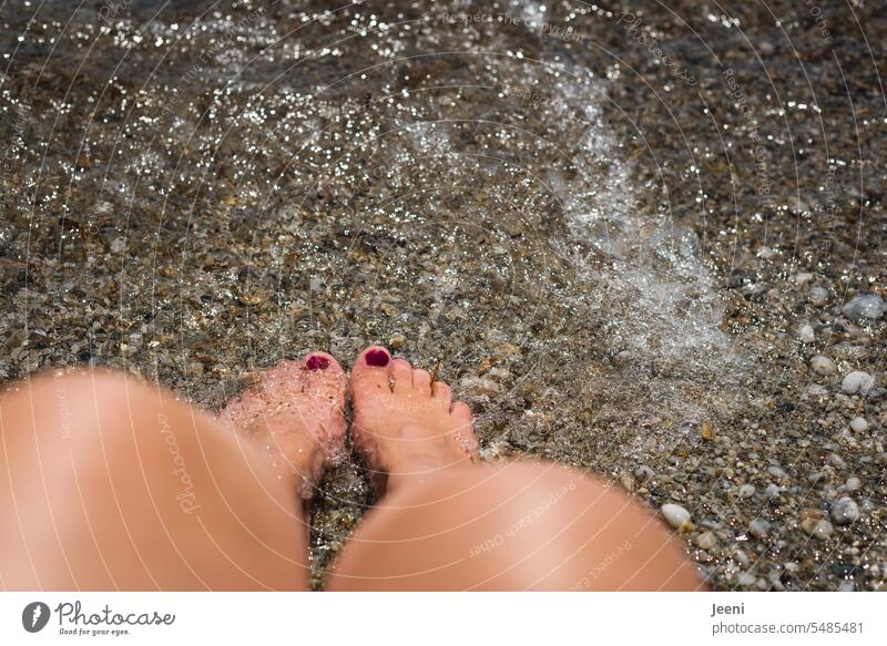 Relaxation for the feet in the water To enjoy Break Freedom Dream Wet refreshingly Naked Skin Woman Nail polish Feminine Red pretty Toes Refreshment Summer