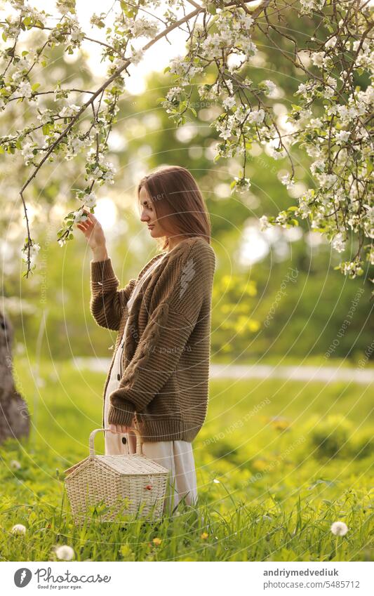 Smiling young woman wearing dress and khaki knitted cardigan, holding wicker basket in spring in a blooming apple garden in sunny weather. The concept of youth, love, fashion and lifestyle.