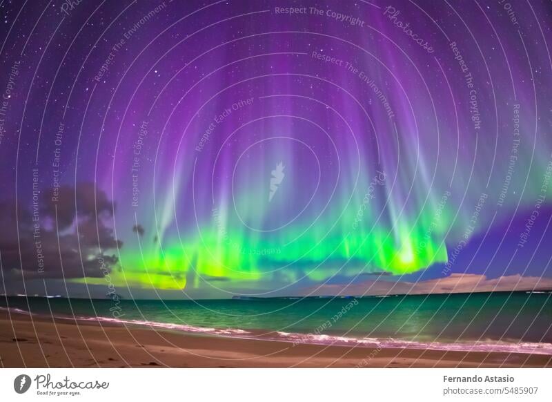 Northern Lights. Aurora. Iceland. Moment of greatest activity. Northern lights over the sea, snowy mountains. Starry sky. Winter landscape with aurora. Tree silhouette. Villages silhouette. 2023.