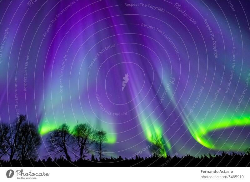 Northern Lights. Aurora. Iceland. Moment of greatest activity. Northern lights over the sea, snowy mountains. Starry sky. Winter landscape with aurora. Tree silhouette. Villages silhouette. 2023.