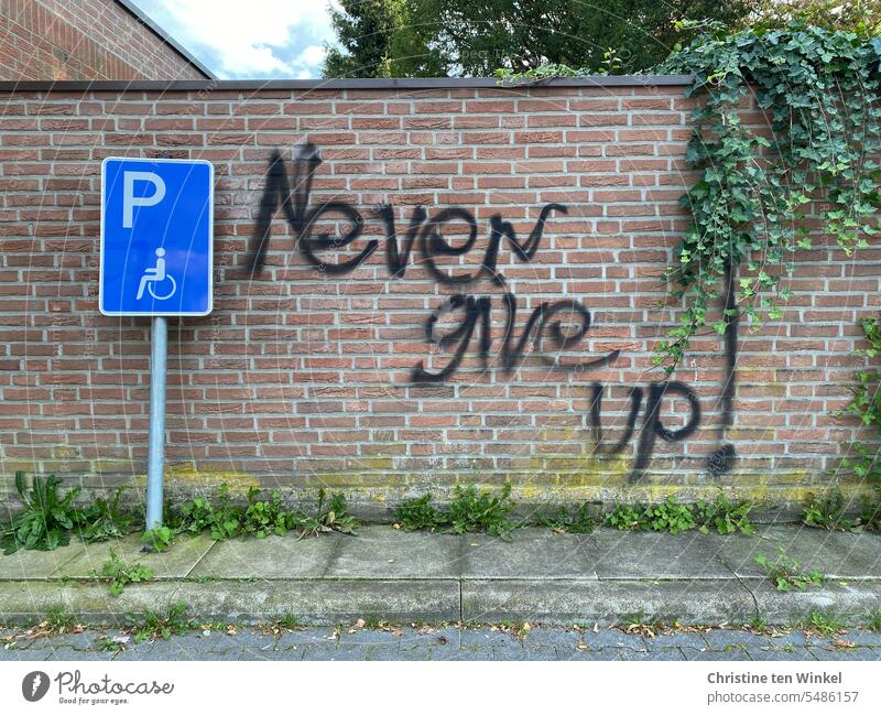 Never give up! never give up Parking lot disabled parking Signs and labeling think positively Crisis Signage Wall (barrier) Ivy parking sign Optimism Wheelchair