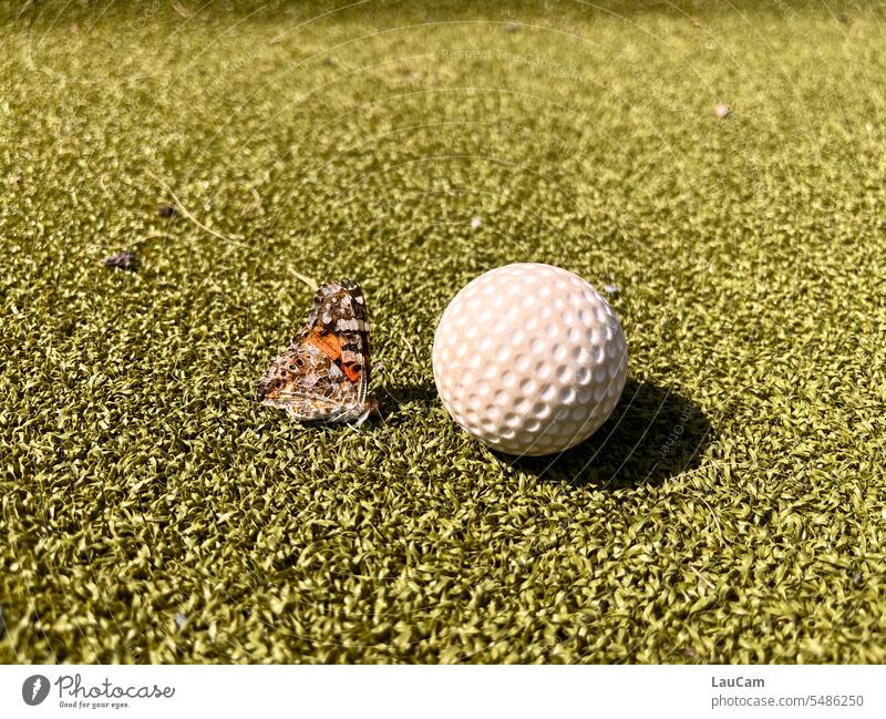 Butterfly in mini golf - differences attract each other Mini golf Small Large Lawn Close-up Green Grass minigolf ball Ball Grand piano disparate Delicate Round