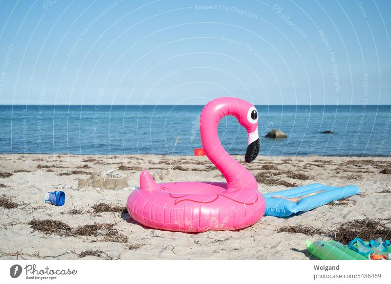 Inflatable flamingo on the beach Summer Beach Flamingo Crazy pink North Sea Baltic Sea tawdry