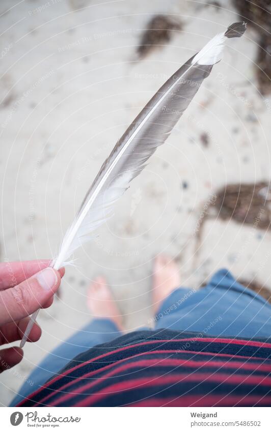 Feather in hand on beach Meditative Beach Barefoot Discovery balance Meditation Search Spirituality Nature