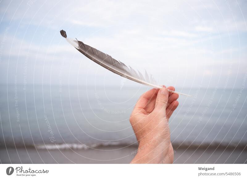 Feather in hand in front of sea tranquillity Meditation Serene Grief Ocean Baltic Sea North Sea silent Spirituality balance