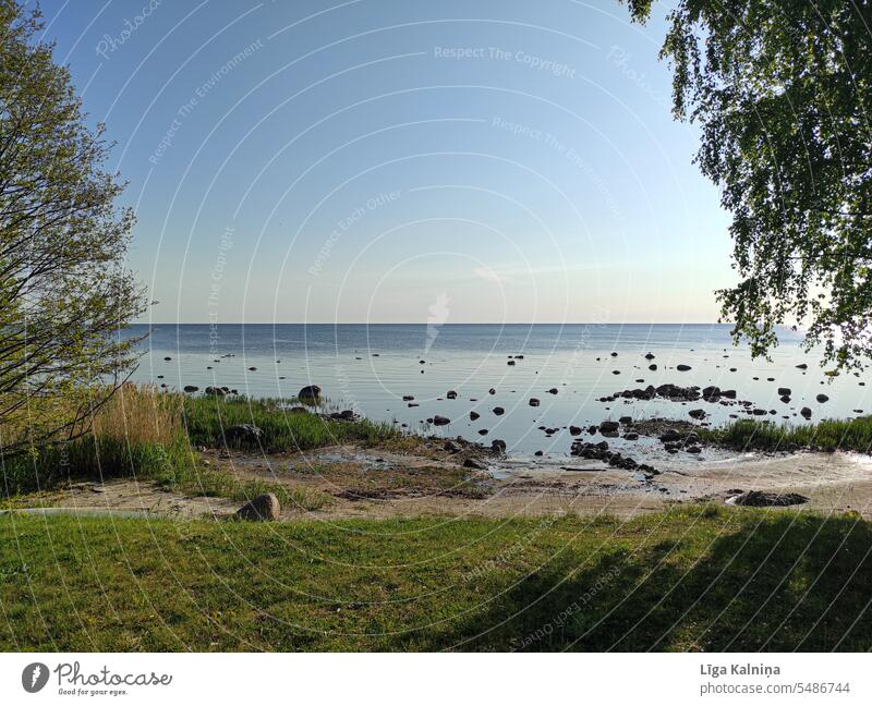 Baltic sea background, calm blue sea with blue sky and tree Sea Ocean Water ocean wave Swell Beach Surface of water Baltic Sea Blue Sea water Waves Summer