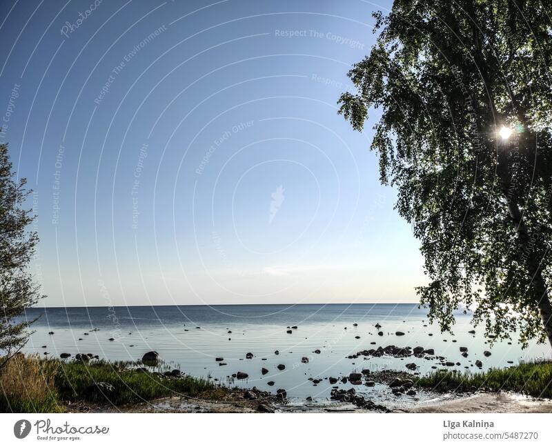 Baltic sea background, calm blue sea with blue sky and tree Sea Ocean Waves North Sea Beach Blue ocean Nature Pacific Ocean Water Baltic Sea Sky Summer Tourism