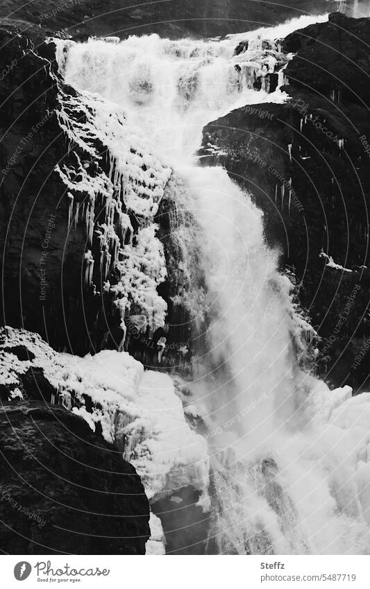 Waterfall neckline in Iceland Icelandic Iceland picture waterfall neckline iced iceland trip Cold White Black Freeze Freezing Stream fluid Rock shape