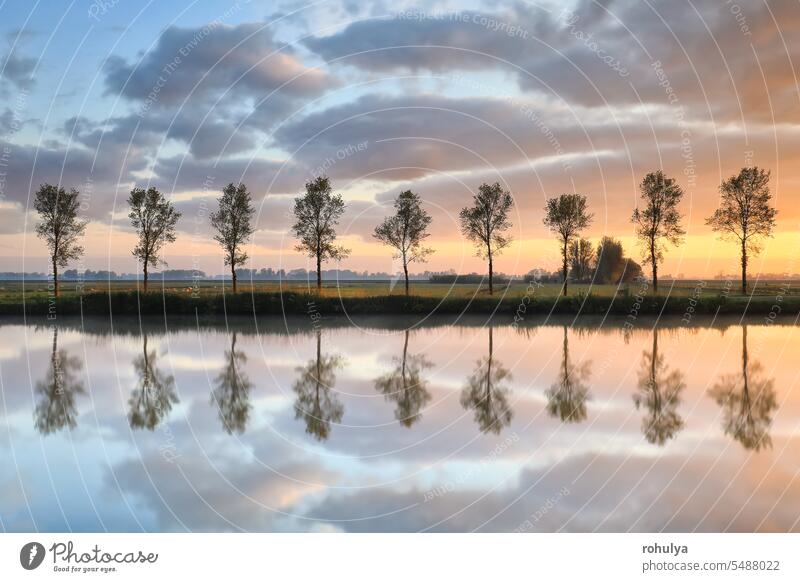 tree row reflected in river at sunrise lake water canal surface symmetry reflection sky cloud cloudscape dawn view scenic scenery landscape nature outdoors