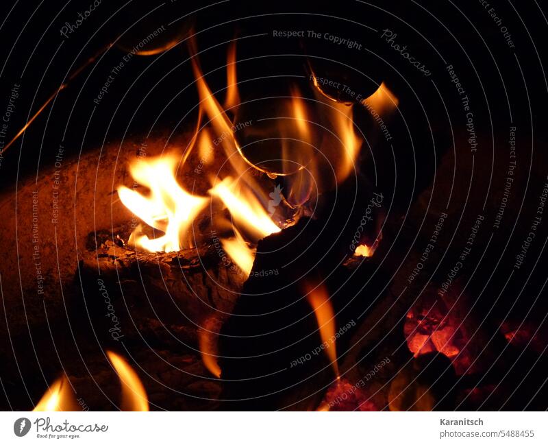 Flames in a kettle grill. Fire Bright Burn Light darkness Night Night sky ardor Spark Blaze Hot incinerate sb./sth. burn fire bowl