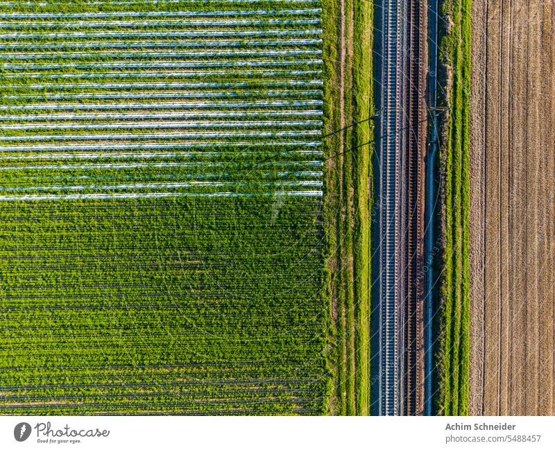 Railroad tracks between a strawberry field and a field directly from above as an aerial view Covers (Construction) acre Track railway line Concrete Leaf