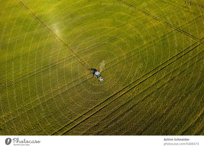A tractor drives through a grain field and leaves tracks cornfield various tractor tracks green Germany aerial shot equipment crops heat horizon climate change