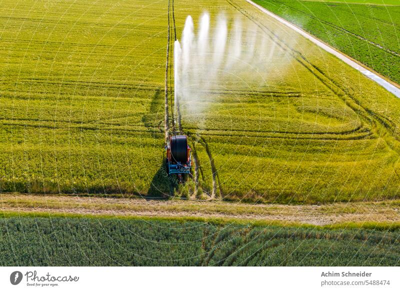 Aerial view of irrigation with atomized water jet aerial view field grain wind blow heat germany aerial shot sprinkler sprinkling sprinkling system