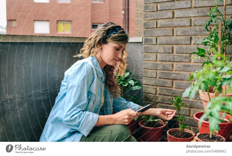 Woman looking electronic tablet while checking plants of her urban garden on terrace rooftop female woman gardening application web website device apartment