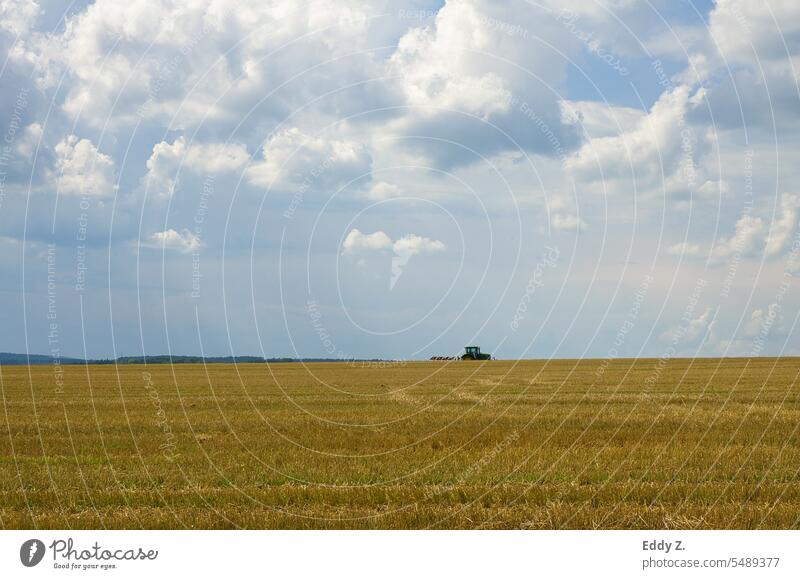 Grain field with clouds in the sky. Field harvested. Tractor on horizon driving over field. Summer Sky Nature Blue Clouds Agriculture Landscape