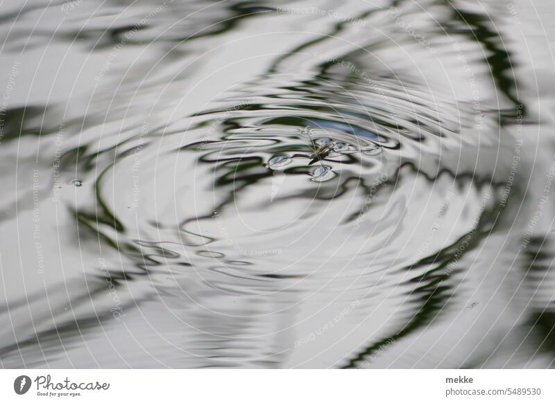 Borderline | Water strider balancing on the edge of doom Surface of water Waves Reflection Lake Pond Nature Calm Lakeside Water reflection Peaceful Idyll