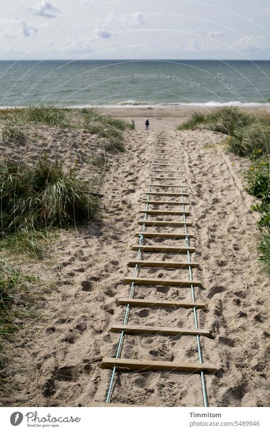 Public access to the North Sea Sand Beach Water Access off duene Ladder beach grass Waves Denmark Ocean Nature coast North Sea coast Vacation & Travel
