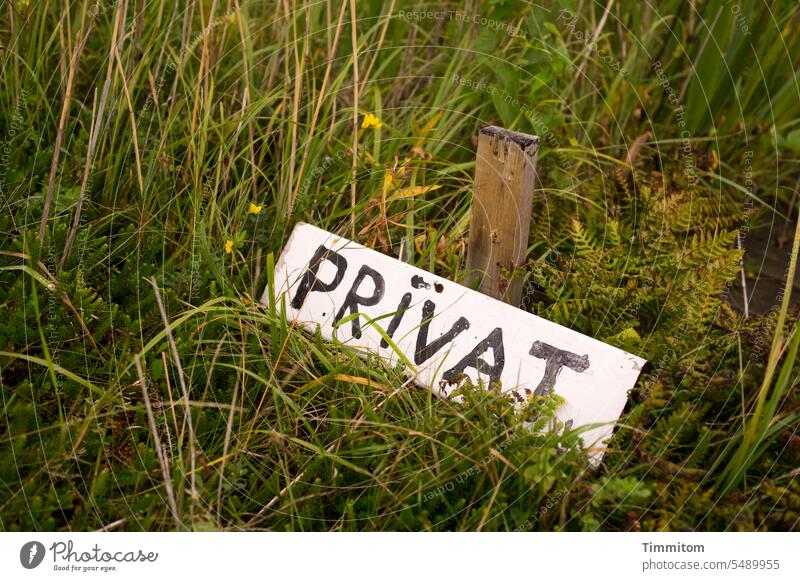 Private non-access to the fjord sign Private way Signs and labeling Signage Characters Deserted Pole overgrown grasses ferns Fjord Denmark Lying on the ground
