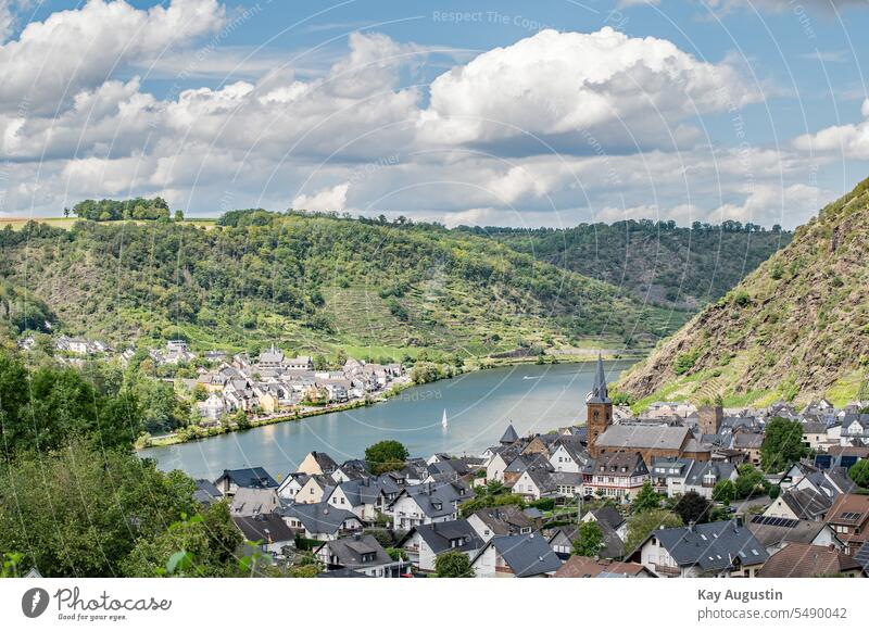 Alken on the Moselle Auks Exterior shot Mosel (wine-growing area) Idyll Nature Rhineland-Palatinate Trip Moselle valley Vacation & Travel Wine growing Landscape