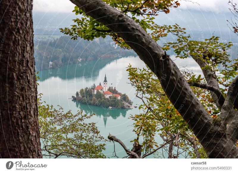 Peaceful view on lake Bled and the island with its pilgrimage church Assumption of Mary, Slovenia nature monastery branch trunk leaves mirror water slovenia