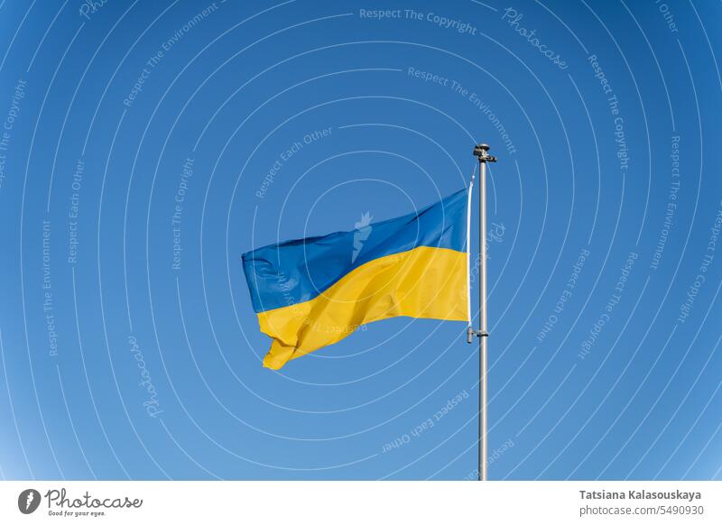 Ukrainian flag of yellow-blue colors on the background of clear blue sky ukraine ukrainian ukrainian flag country symbol sign europe wind wave pole national