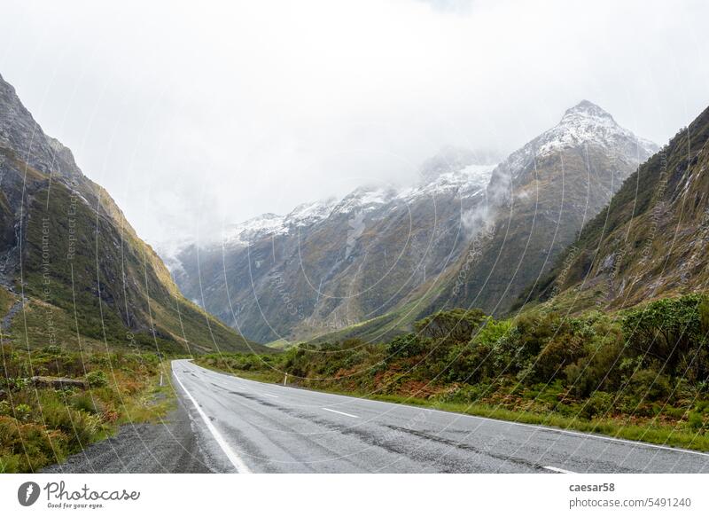 Impressive mountain landscape on Milford Sound Highway, New Zealand Brook Mountain Stream Valley Street Snow Rain Mystic cloudy foggy Location Cold Nature Wild