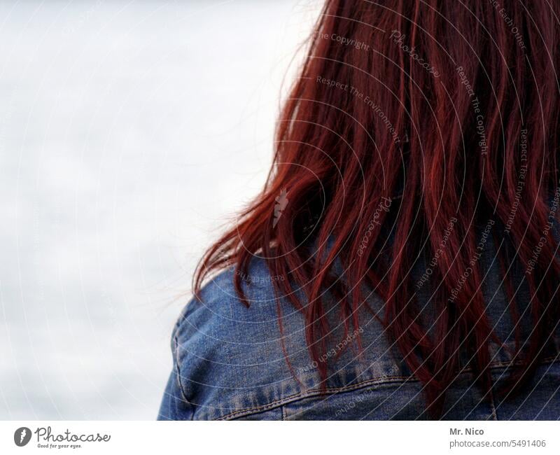 red long hair Red-haired long hairs Hair and hairstyles Feminine Jeans jacket Long-haired Rear view Shoulder