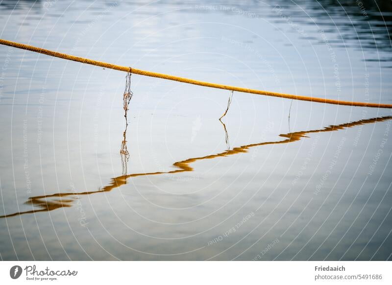 Wave reflection of a taut rope on the lake Water Surface of water Lake Reflection Water reflection Calm Deserted Nature Exterior shot Peaceful Landscape