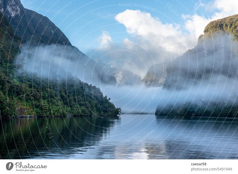A new morning dawning at Doutful Sound, clouds hanging low in the mountains, Fiordland National Park, New Zealand landscape beautiful peaceful sea fog nature
