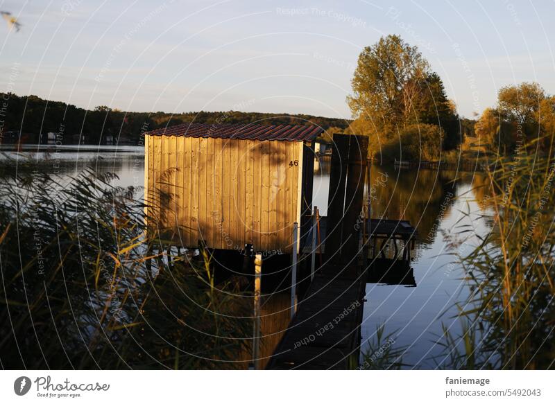 Anglerhütte am Étang du Welschhof in der Abendsonne Steg Fischen Fischerhütte See Schilf Gras Gräser Wasser am Wasser Badesee Schatten abends Frankreich
