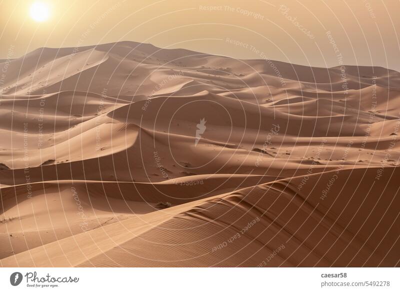 Picturesque dunes in the Erg Chebbi desert, part of the African Sahara sahara sunset dry symbol nature landscape africa morocco sunbeam sunrays no person