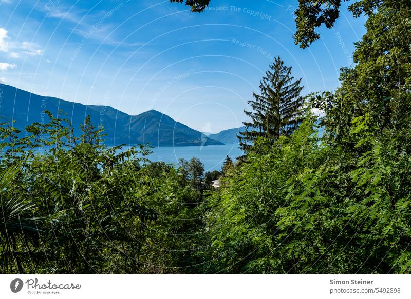 View of Lake Maggiore Looking land Forward Deserted Exterior shot Colour photo Nature