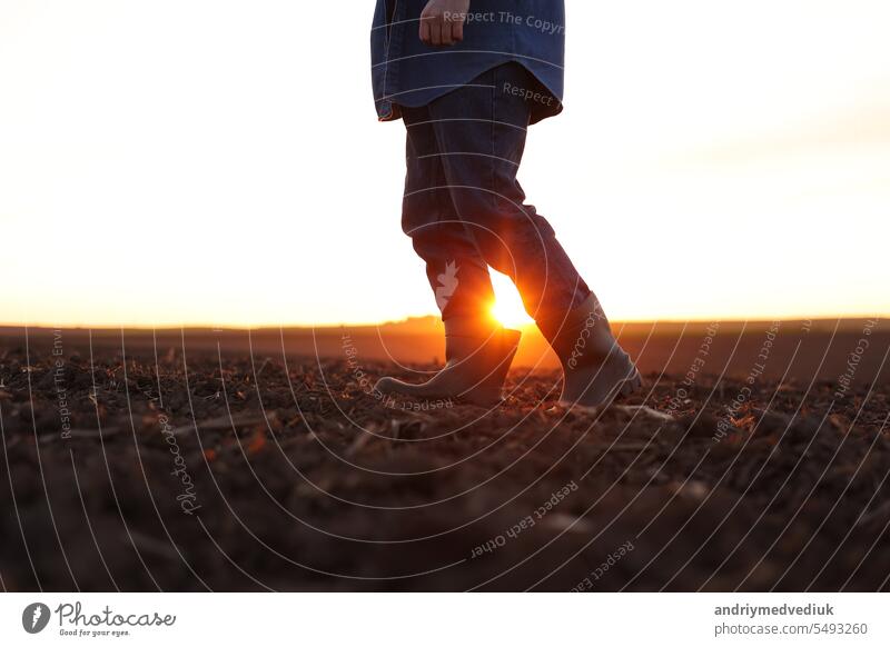 Agriculture. Cropped shot of view businessman farmer in rubber boots walks along plowed field. Agronomist checking and analyses fertile soil on sunrise. Agribusiness.