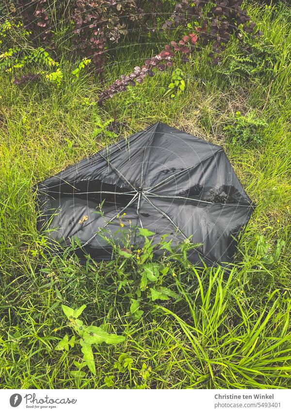 away with it | but not like this ... Umbrella broken umbrella Trash grass verge Escarpment Black waste jettisoned Throw away Disposed of Environmental pollution