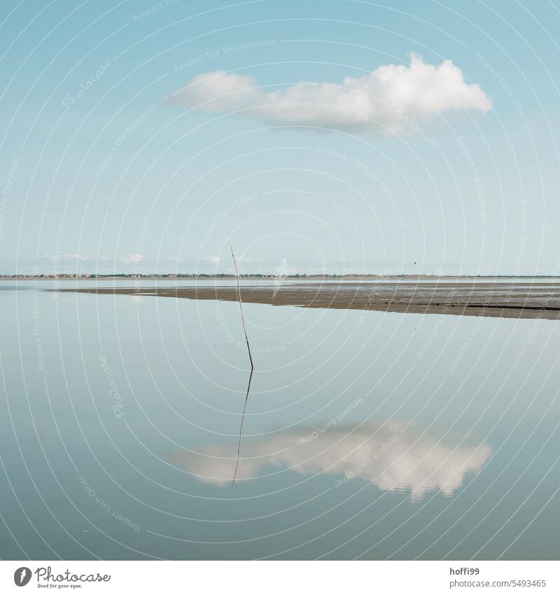 Calm wind, clouds and mudflats, a quiet day by the sea little cloud mirrored clouds smooth water surface calm atmosphere calm water cloud reflection North Sea