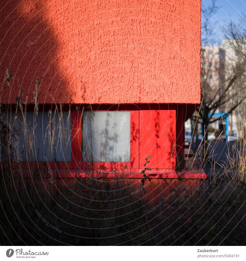 Red facade, textured concrete, plants in front of it Facade variegated Architecture Modern urban Town Building City structure Design Abstract antagonism Nature
