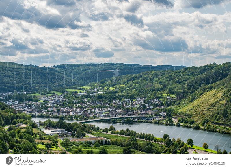 Moselle bridge near Löf and Alken Loef and Alken Auks farsightedness Nature Valley wide Exterior shot River Rhineland-Palatinate Vineyard Moselle valley