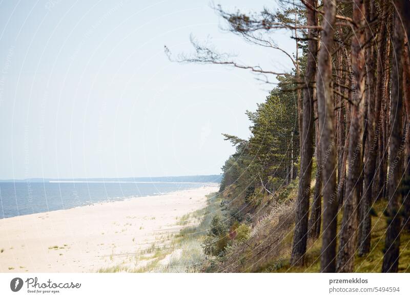 Seashore landscape. Sand beach and forest scene. Calm scene. Summer vacation concept. Leisure time close to nature. Travel concept. Beauty in nature sea seaside