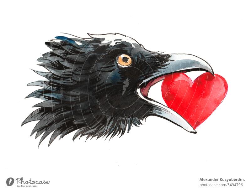Crow and heart. Ink and watercolor sketch black crow crow head drawing emotions feelings heart shape love painting raven raven head red stolen