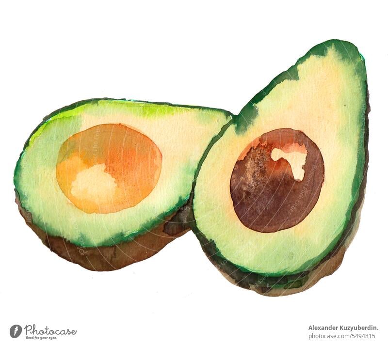 Avocado fruit cut in half. Watercolor sketch art avocado avocado isolated avocados botanical illustration delicious diet exotic exotic fruit food fresh green