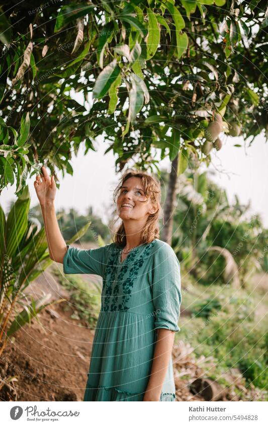 a young women picks mangos from a tree outside Mango mango fruit Tree Trees women only Fruit Colour photo Nutrition Food Vegetarian diet Healthy Eating Nature
