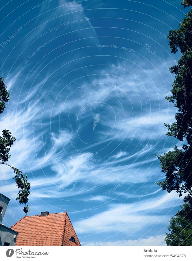 Impressive veil clouds over roofs of houses and trees Clouds cirrostratus clouds Sky Blue Blue sky Beautiful weather Weather Nature Air
