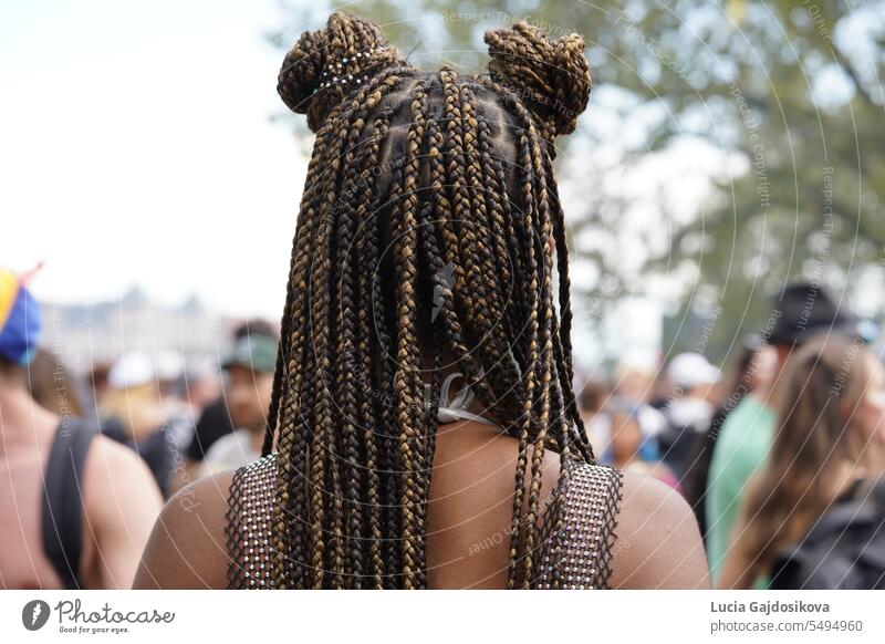 Head with long braids captured in rear view. On the headtop there are two buns made of the braids that look like mouse ears. On the background there are defocused people.