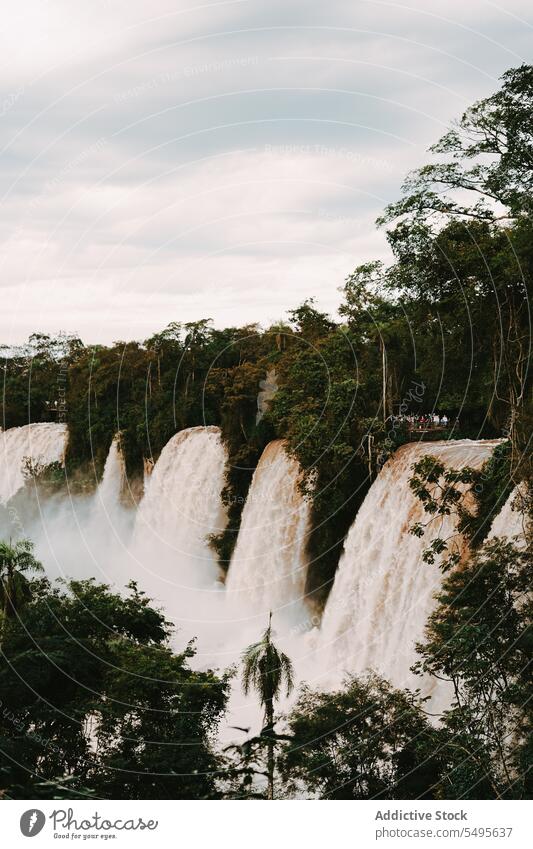 Majestic view of many cascades of water flowing under cloudy sky spectacular forest landscape environment river highland nature green daylight scenery iguazu